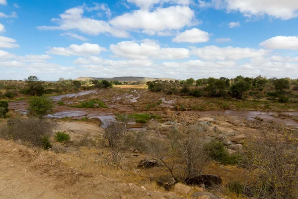 African Landscape of open savanna and river on sunny day, Tsavo — Stok Foto
