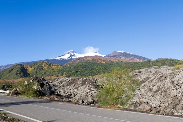 Ätna Vulkan mit herbstlichen Farben — Stockfoto