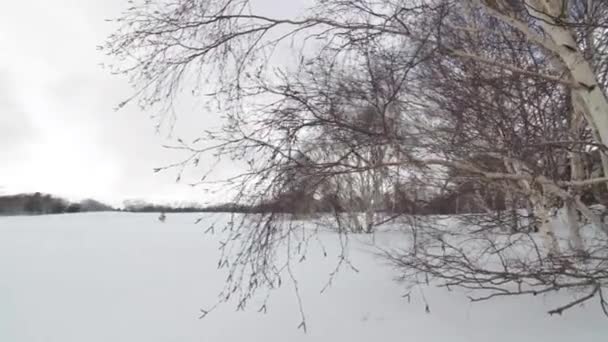 Slider shot sur le volcan Etna, arbre avec neige — Video