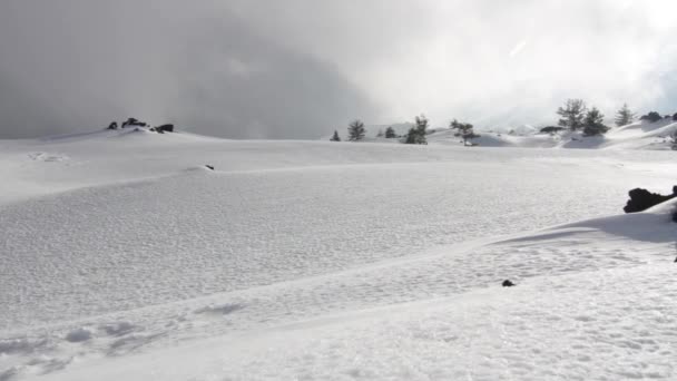 Control deslizante en el volcán Etna, árbol con nieve — Vídeos de Stock