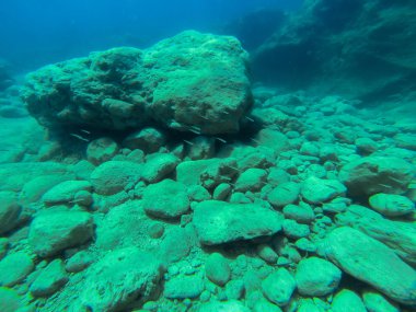 Snorkerilng Sicilya denizlerde