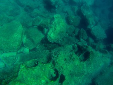 Snorkerilng Sicilya denizlerde