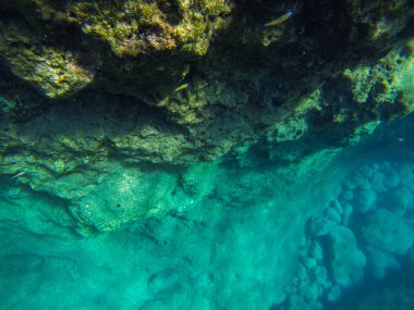 Snorkerilng Sicilya denizlerde