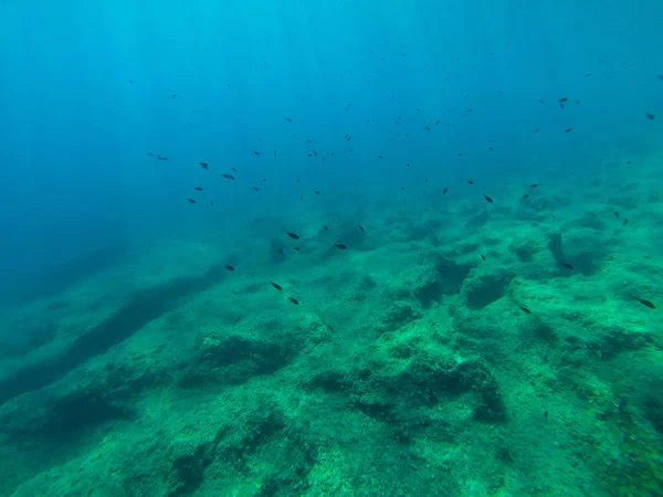 Snorkerilng nei mari della Sicilia — Foto Stock