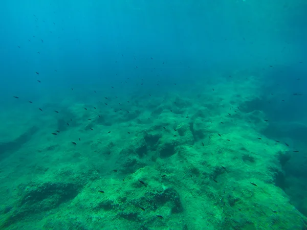 Snorkerilng in the seas of Sicily — Stock Photo, Image