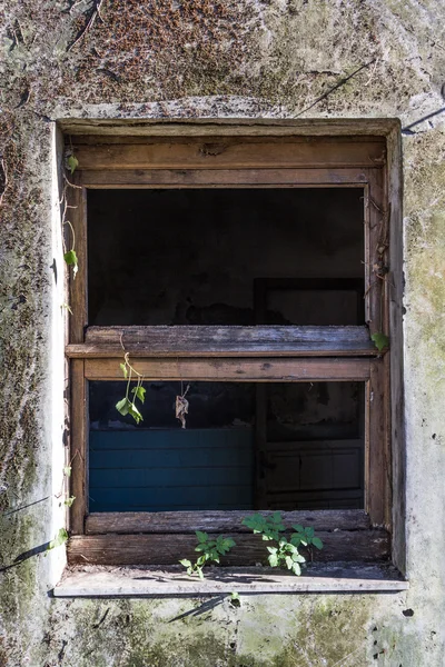 Una vieja ventana —  Fotos de Stock