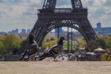  Belediye Binası (Hotel de Ville bina) 