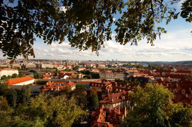 Rooftops üzerinde seyir