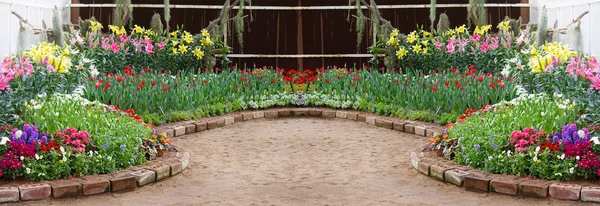 Flor en el jardín; panorama — Foto de Stock