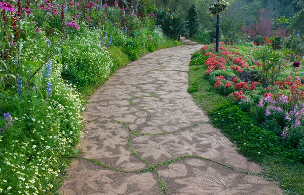 Flor en el jardín con pasarela de piedra — Foto de Stock