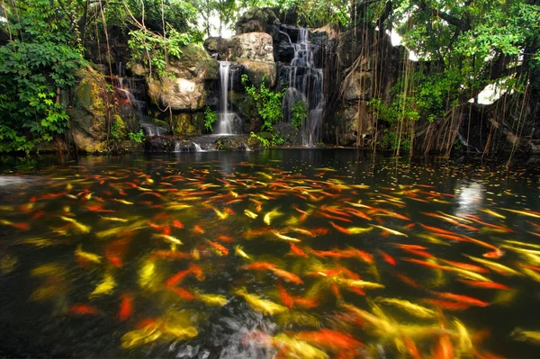 Koi-Fische im Teich im Garten mit Wasserfall — Stockfoto