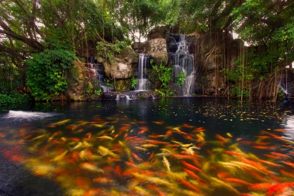 Koi fish in pond at the garden with a waterfall — Stock Photo, Image
