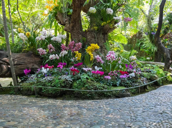 美しい裏庭の庭公園のシーン — ストック写真