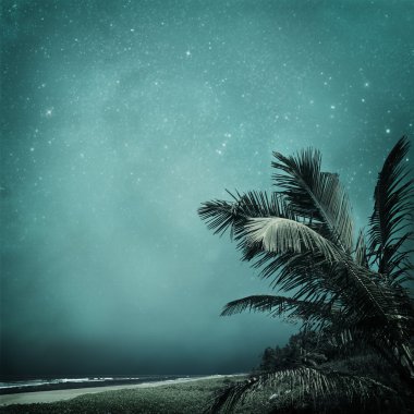 tropikal arka planda 