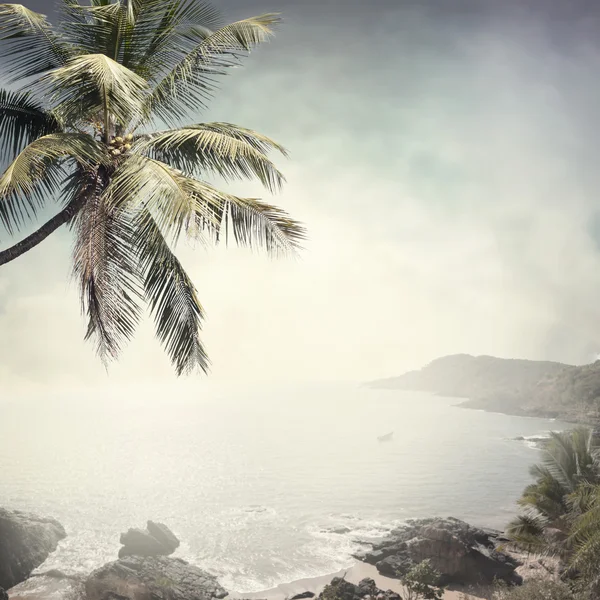 Tropical i bakgrunden — Stockfoto