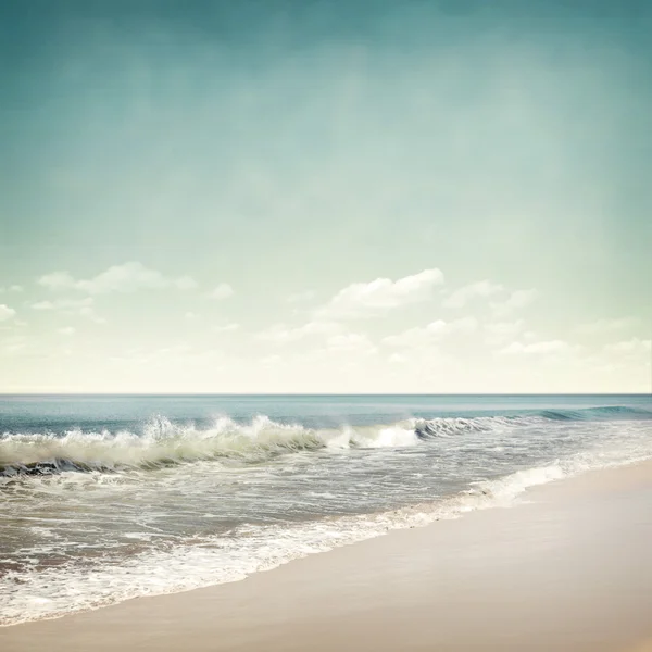 Tropical i bakgrunden — Stockfoto