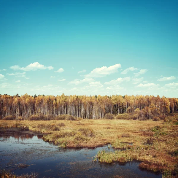 Autumn in background — Stock Photo, Image