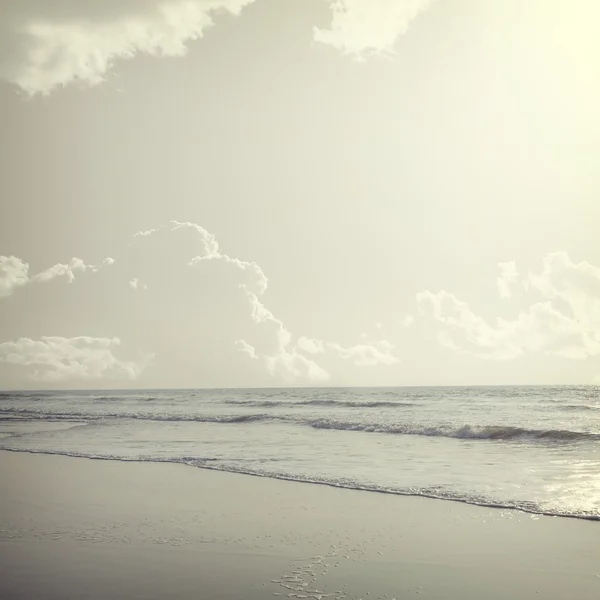 Tropical i bakgrunden — Stockfoto