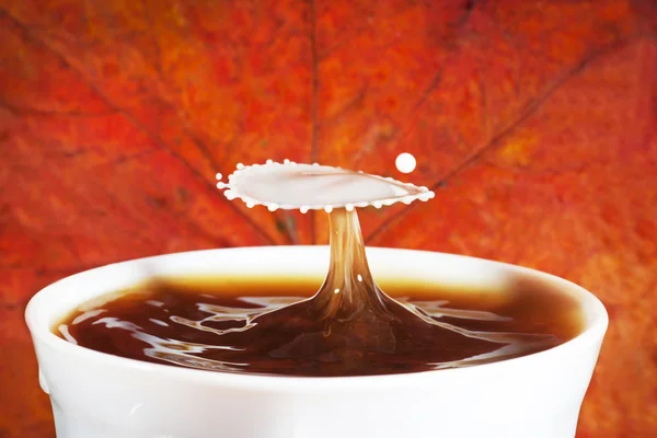 Café de otoño con salpicadura de leche — Foto de Stock