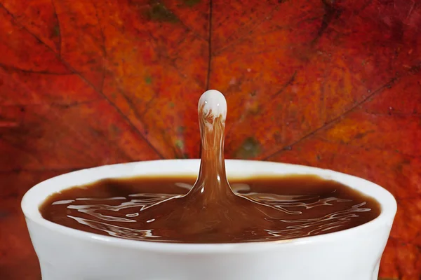 Caffè con spruzzata di latte — Foto Stock