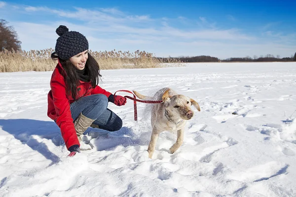 Woman and dog — Stock Photo, Image