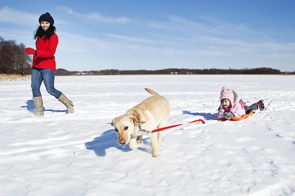 Girl sledding with dog — Stock Photo, Image
