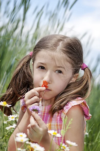 Allergisch gegen Pollen — Stockfoto