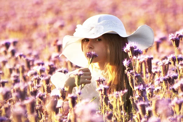 Little girl smelling a flower tansy phacelia on a summer evening — Stock Photo, Image