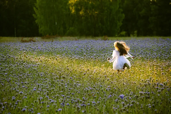 Happy little  girl in a white dress running on field at sunset — Stock Photo, Image