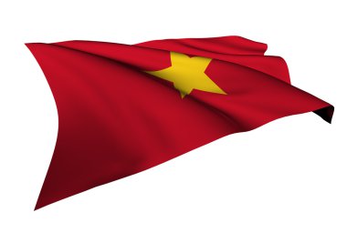 Vietnam bayrağı