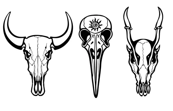 Group of the stylized skulls of fantastic animals. Isolated on a transparent background. — Stock Vector