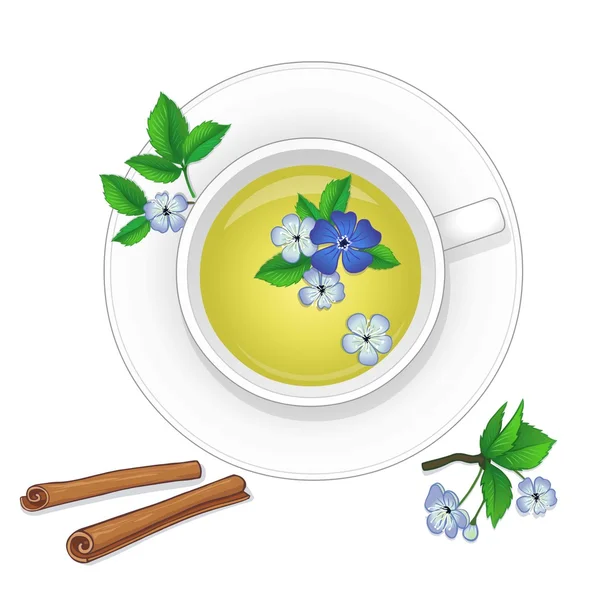Чашка зеленого трав'яного чаю з корицею та квітами. Ізольовані на білому тлі. Вид зверху . — стоковий вектор