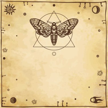 Stilize güve. Eski kağıt taklit. Vektör çizim.