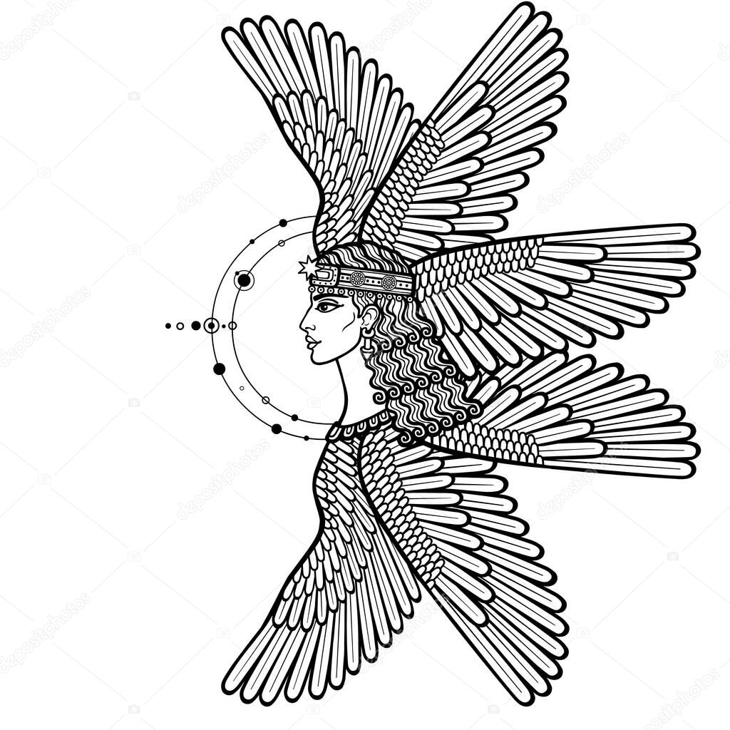 Cartoon drawing: beautiful winged woman, character in Assyrian mythology. Ishtar, Astarta, Inanna. Profile view. Orbits of planets, space symbols. Vector illustration isolated on a white background.