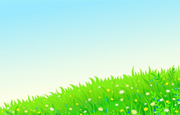 Bright horizontal background summer meadow