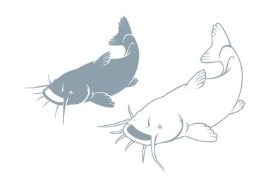 Yayın balığı balık siluet