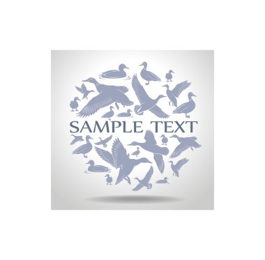 logo çizimi ördek
