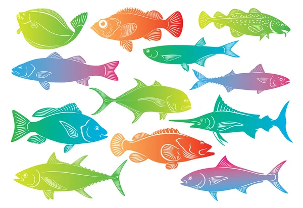 Pestrobarevné mořské ryby — Stockový vektor