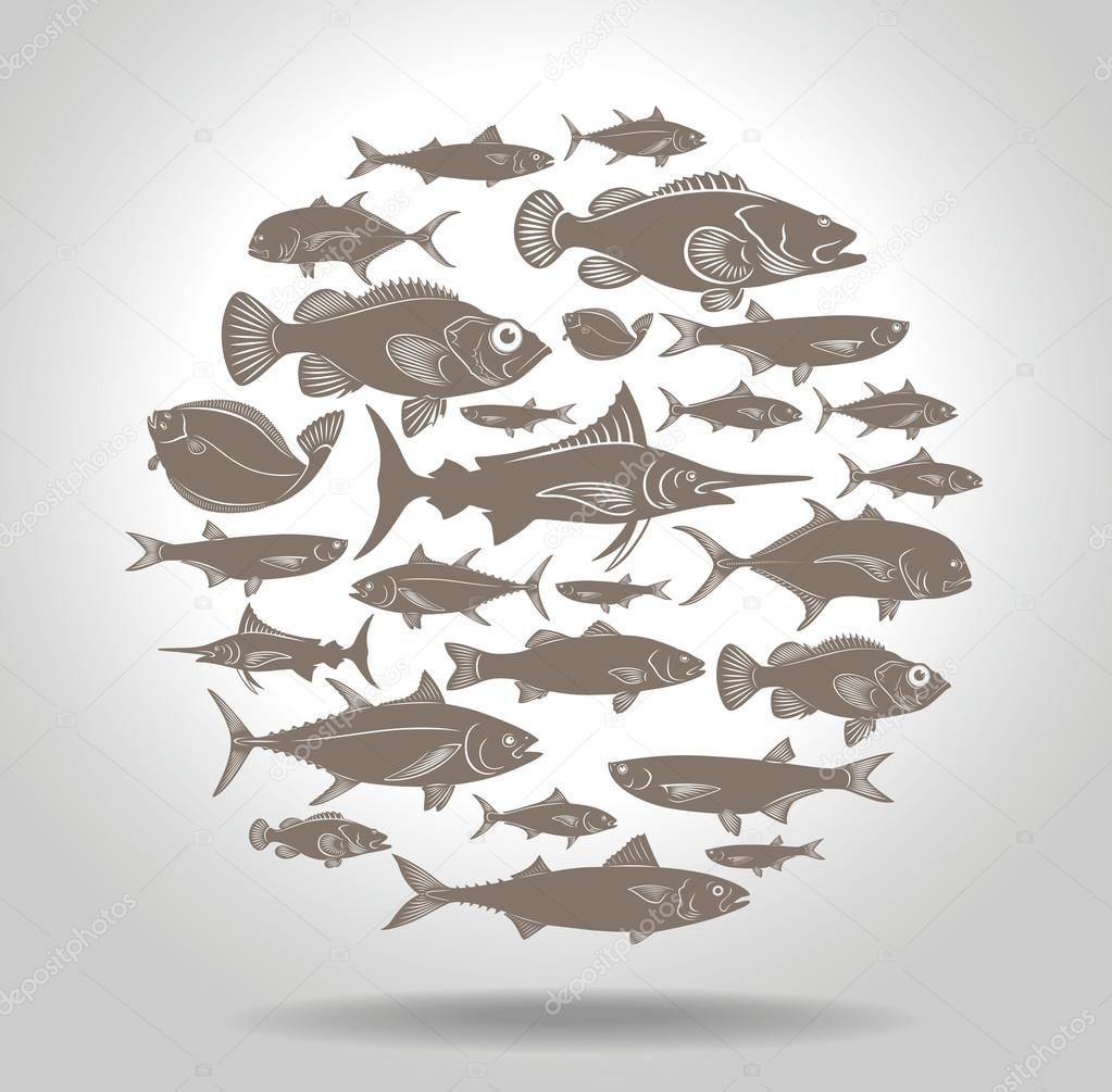 marine fishes in circle