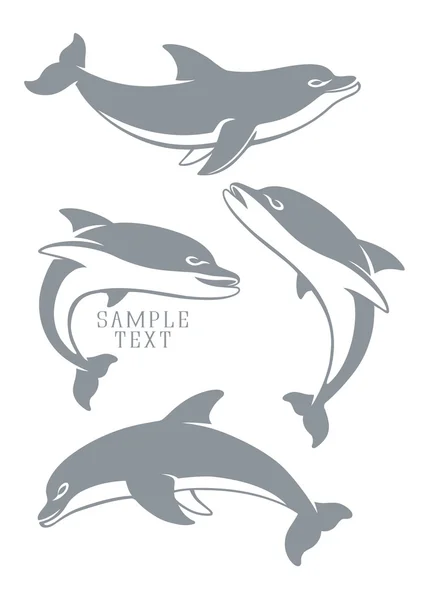 Набір різних дельфінів — стоковий вектор