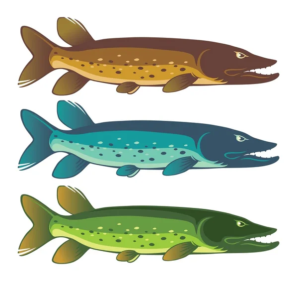 Logos de pescado de lucio — Vector de stock