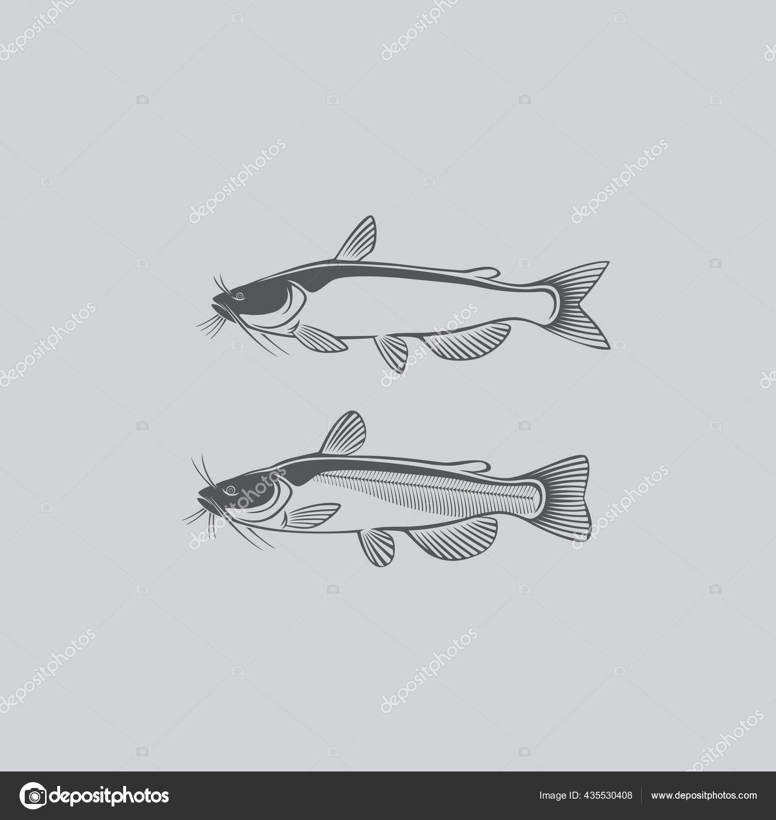 Unduh Gambar Ikan Lele