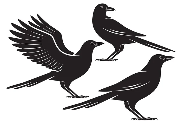 Bird crow — Stock Vector