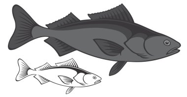 Sea Sablefish drawing clipart