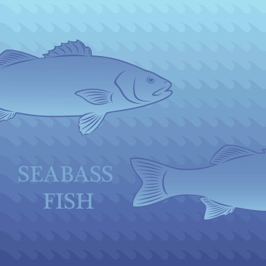 Kart Tema balık labrax