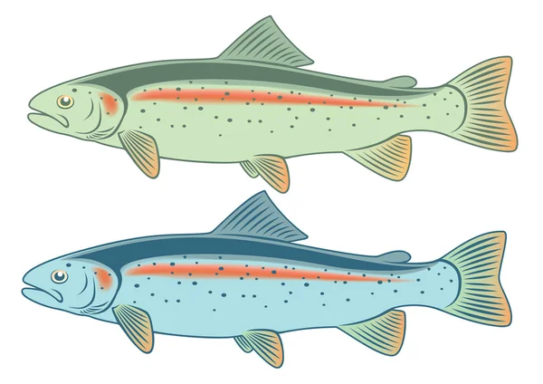 De forel figuur — Stockvector