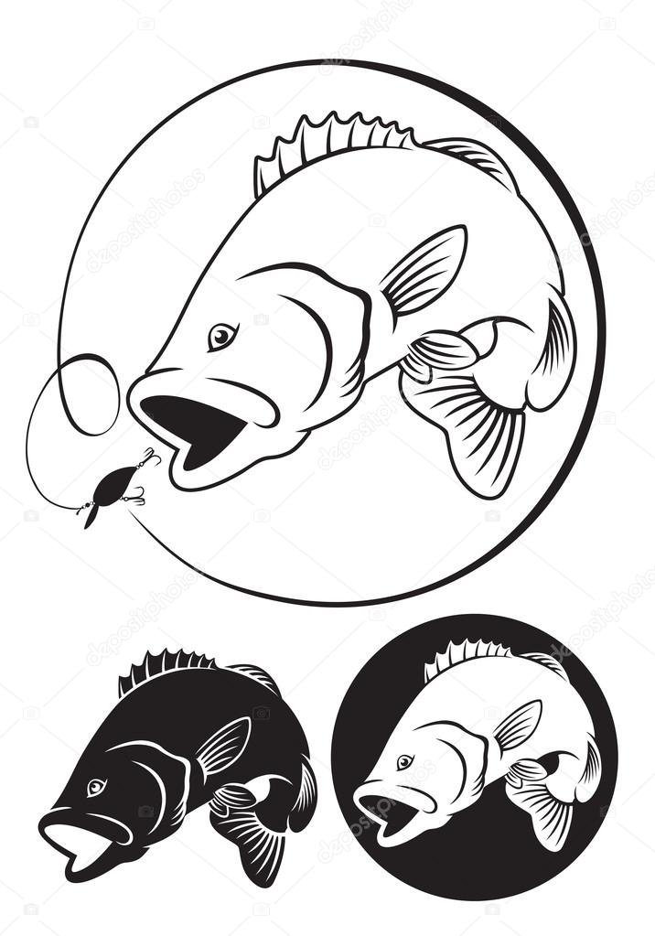 Fish bass drawing