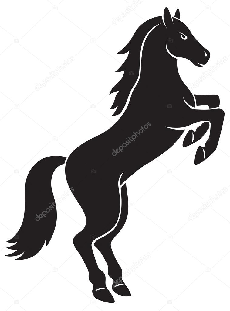 Arabian black horse