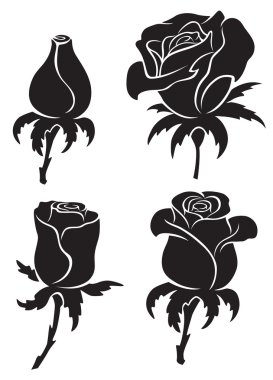 Bir gül farklı siluetleri