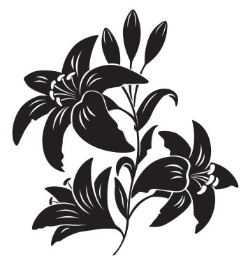 Free Free Lily Flower Svg Free 136 SVG PNG EPS DXF File